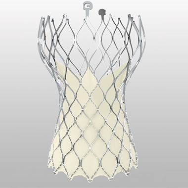 Core-valve-evolut-R-2 Core-valve-evolut-R-2